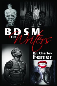 BDSM FOR WRITERS (1)